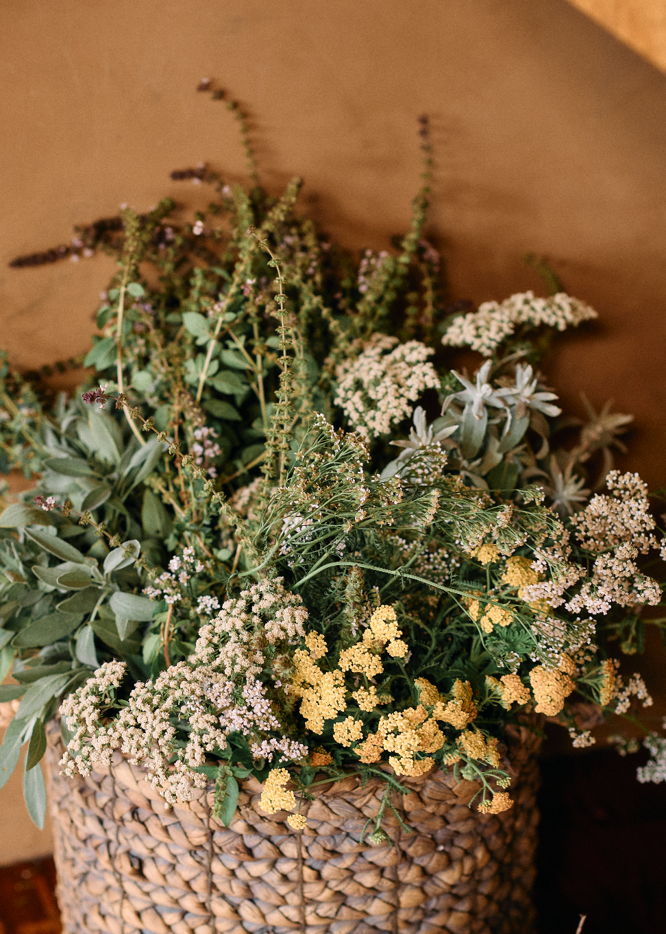 AstroHerbalism, Tarot, and Embodied Wisdom: A Mystery School Immersion